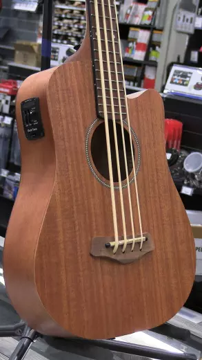 Gold Tone - MICRO BASS 2